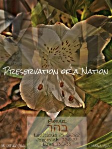 PicsArt_05-27-09.15.05